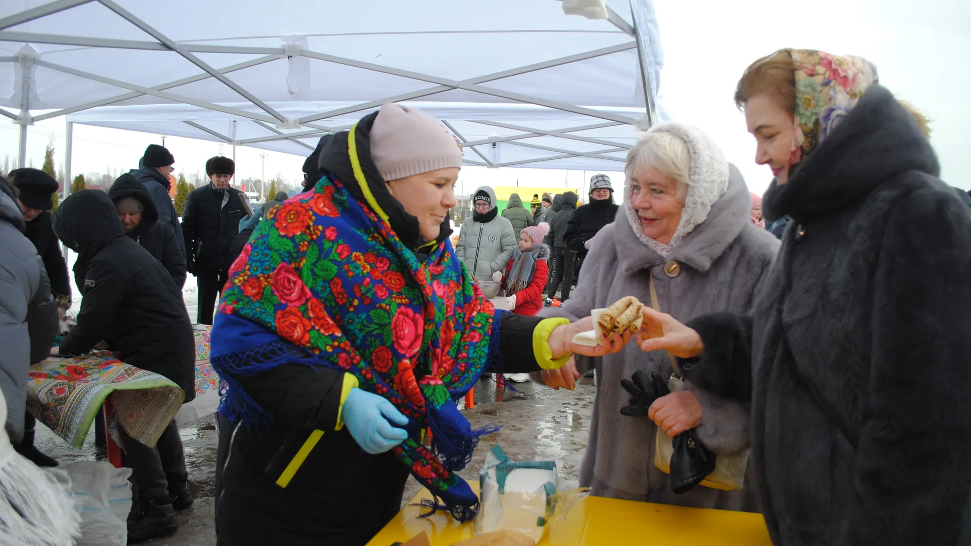 Дарья Кургузова