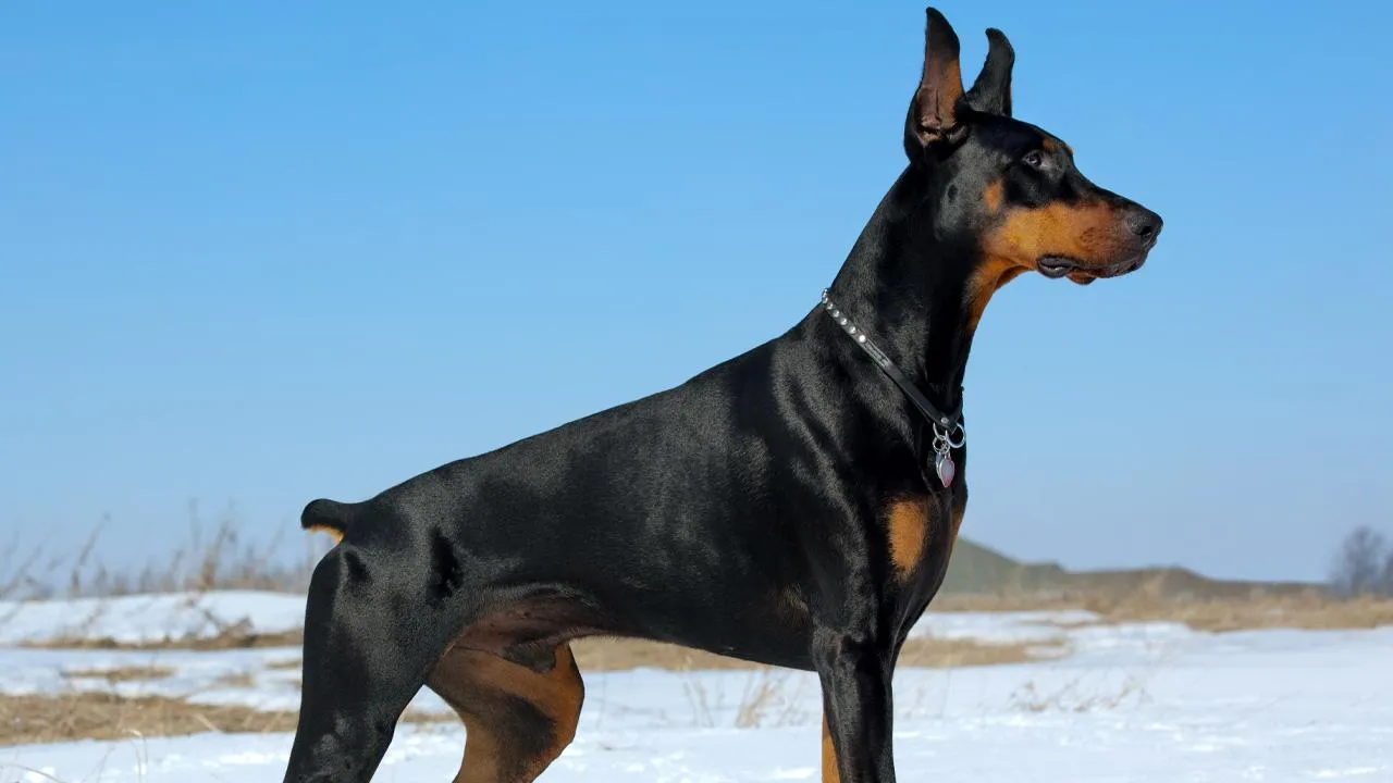 istockphoto.com/JamesBrey