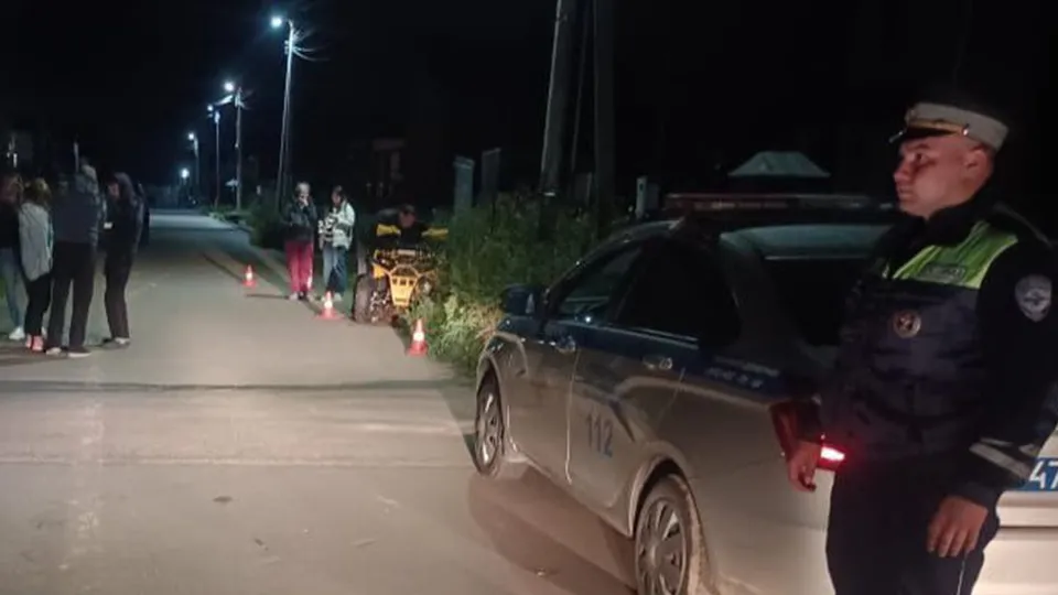 Фото: пресс-служба полиции Московской области