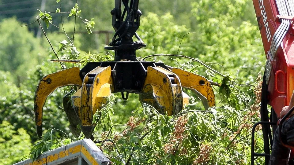 Фото: пресс-служба Администрации г. о. Кашира