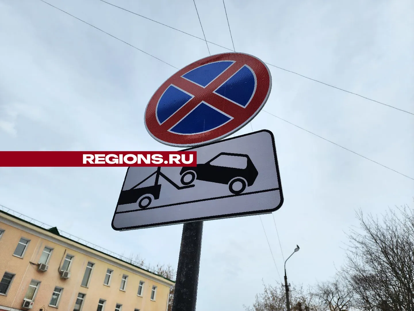 Фото: Мария Андрюхина