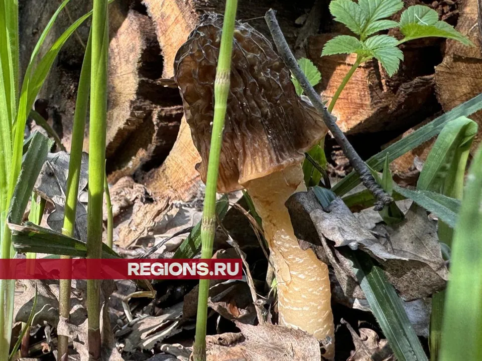 Фото: Мария Шматкова