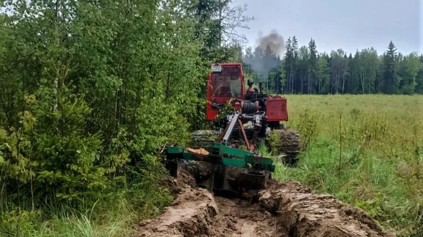 В Подмосковье лес защищают от огня