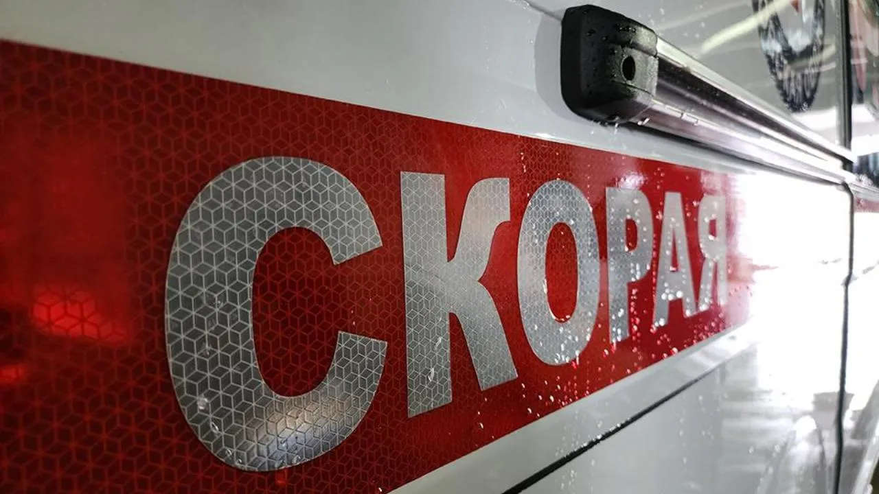 МедиаБанк Подмосковья/Юлия Андросова