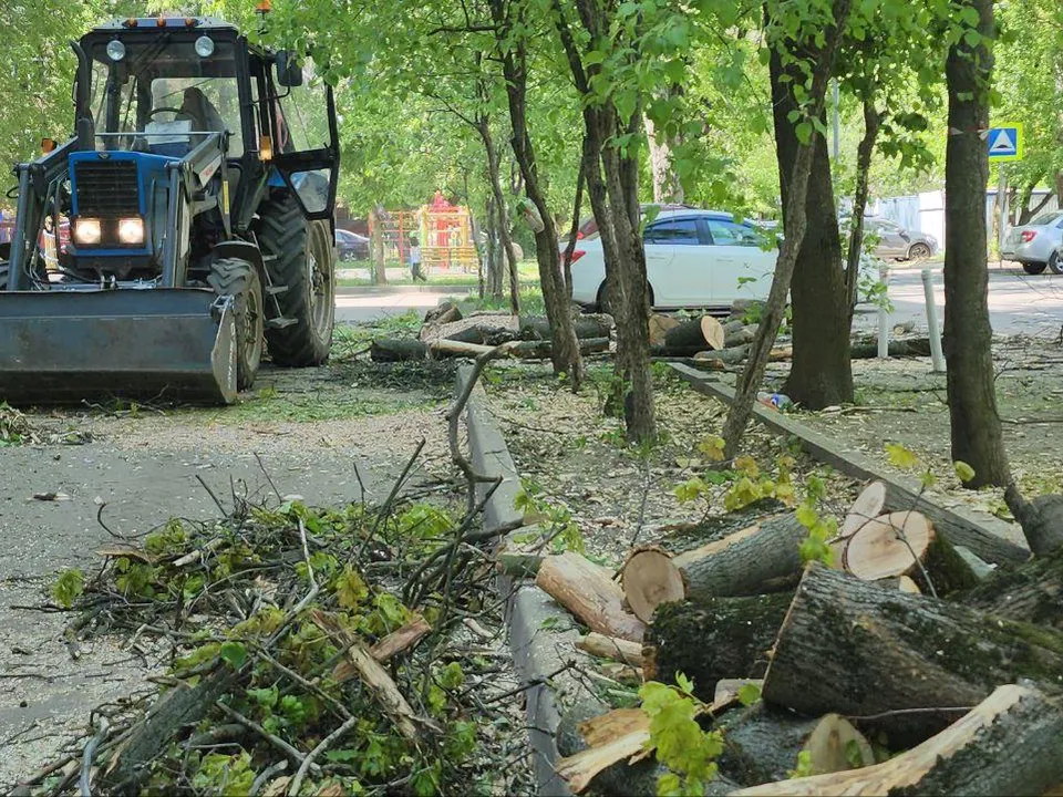 Фото: Наталья Лымарь