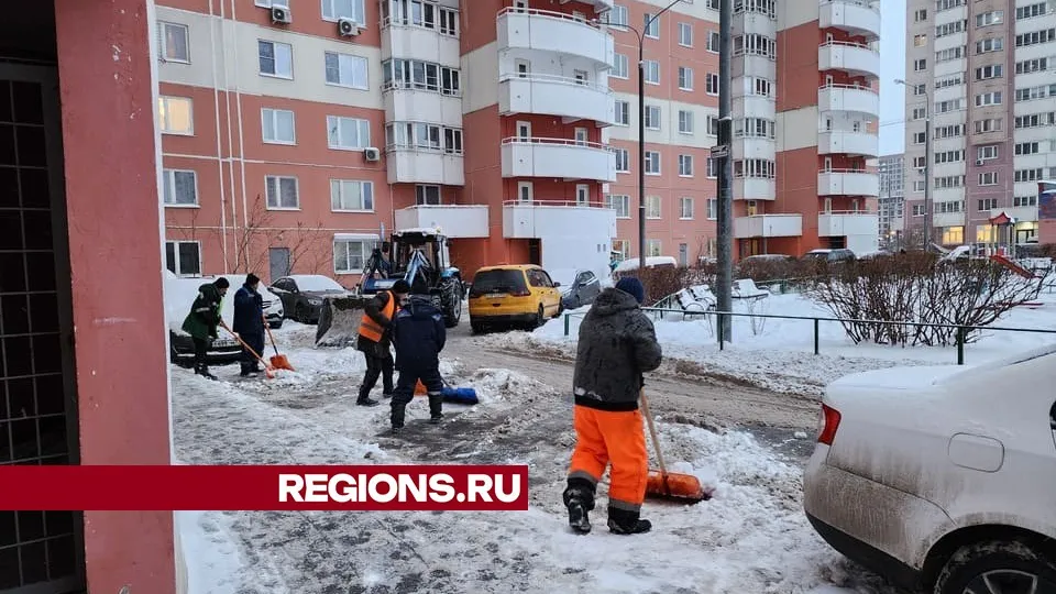 Фото: МедиаБанк Подмосковья/Елизавета Приймак