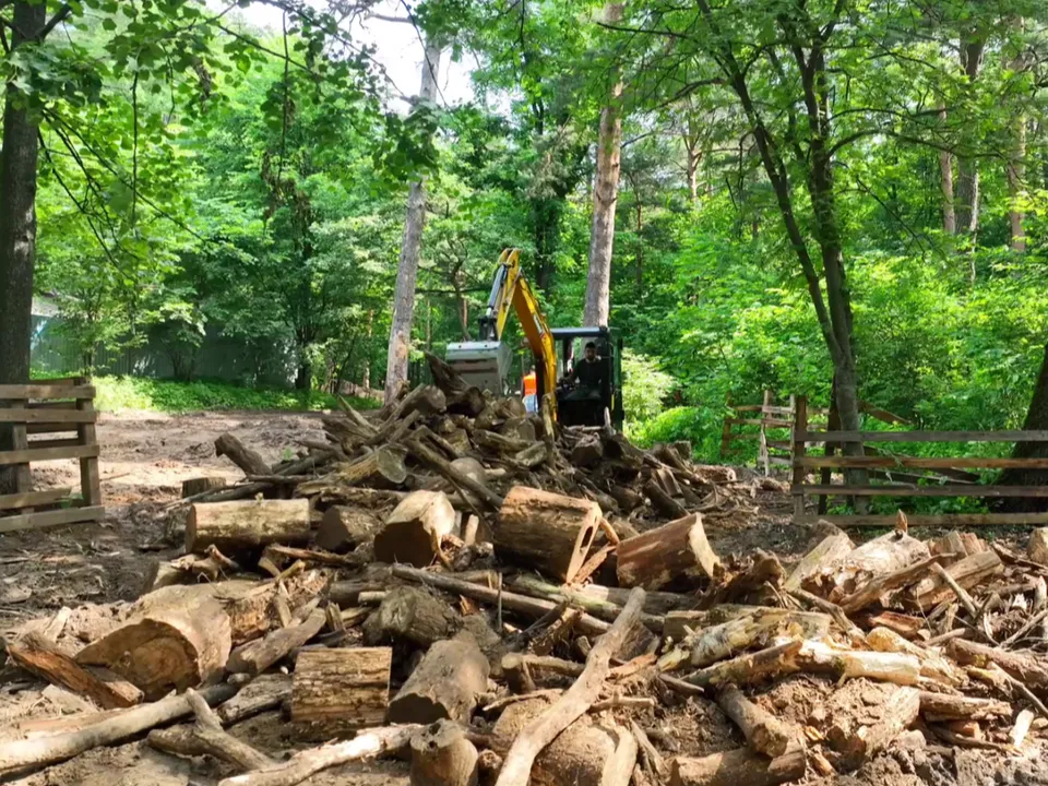 Фото: пресс-служба администрации г.о. Люберцы