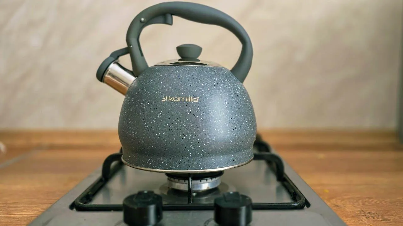 REGIONS/Елена Болотова