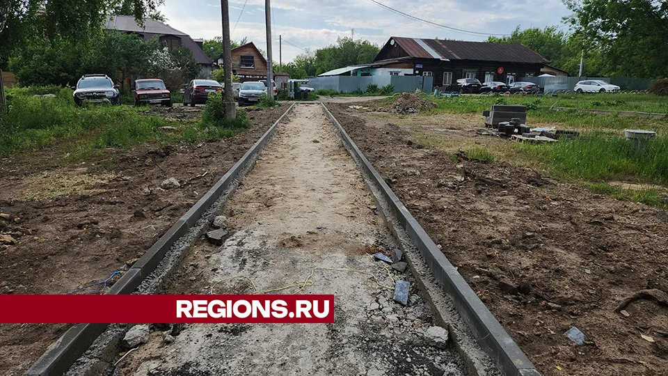 Фото: Александр Степушкин