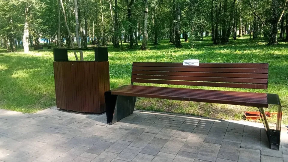 Фото: пресс-служба администрации г.о. Лобня