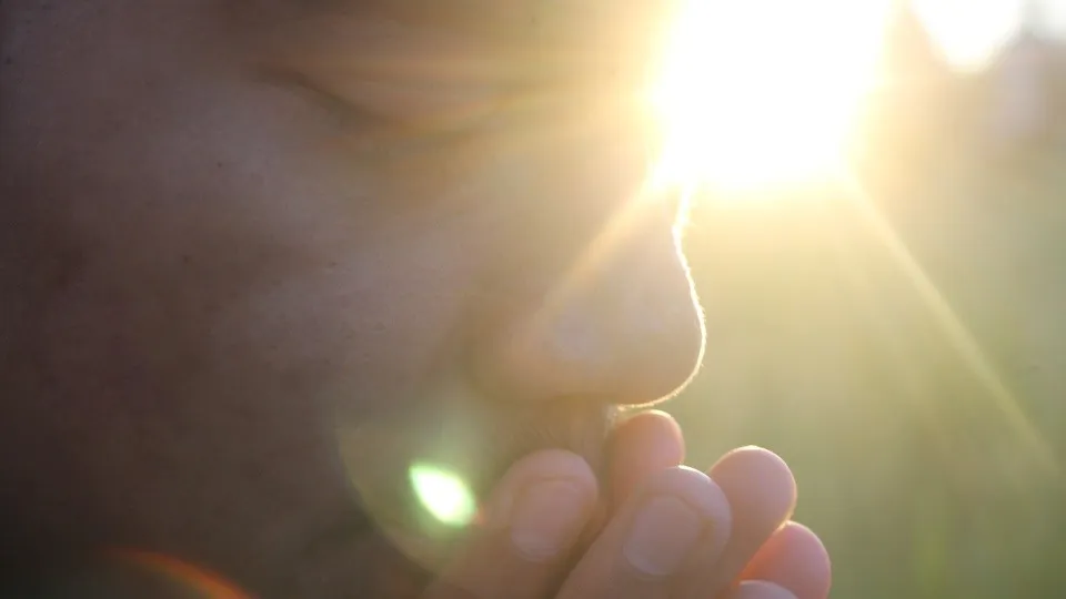 Фото: phxere.com