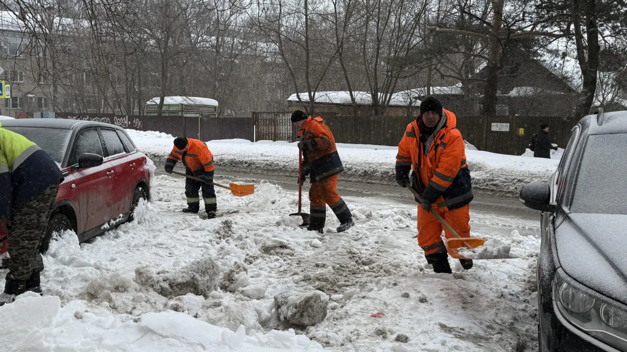 МедиаБанк Подмосковья/Анна Дука