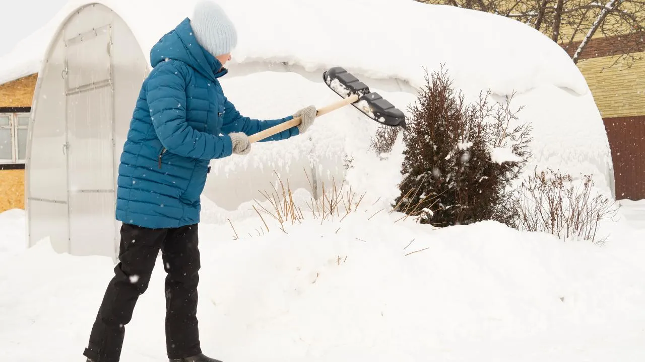 istockphoto.com/MarinaKuzminykh