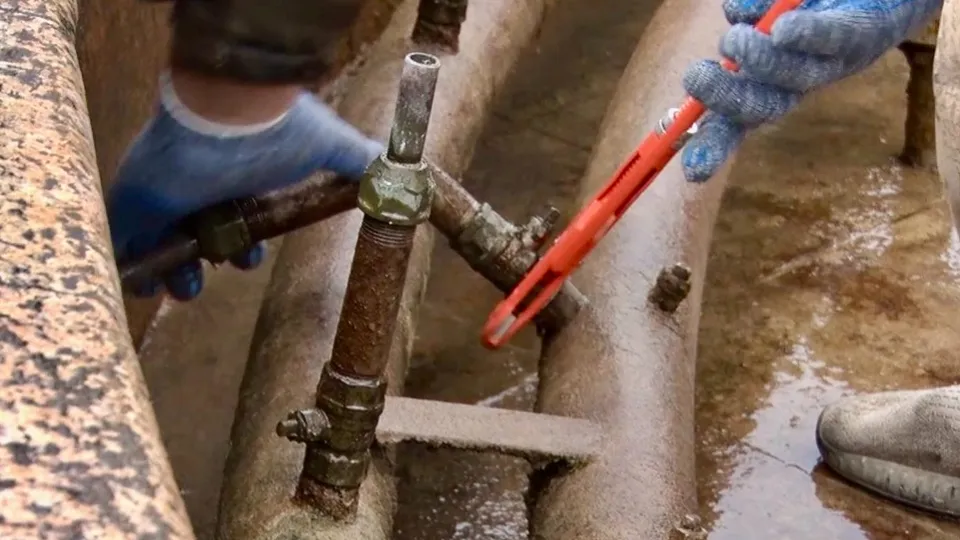 Фото: МедиаБанк Подмосковья/Данила Кирьянов