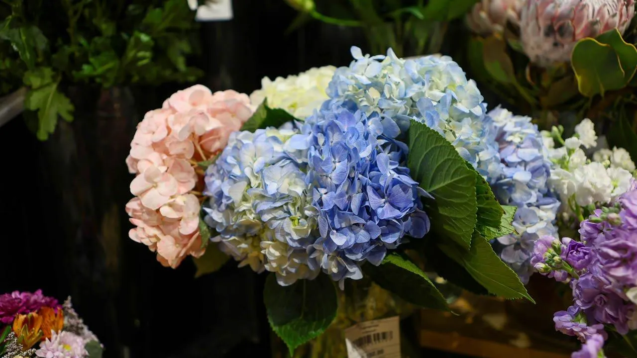 REGIONS/Роман Малышенко