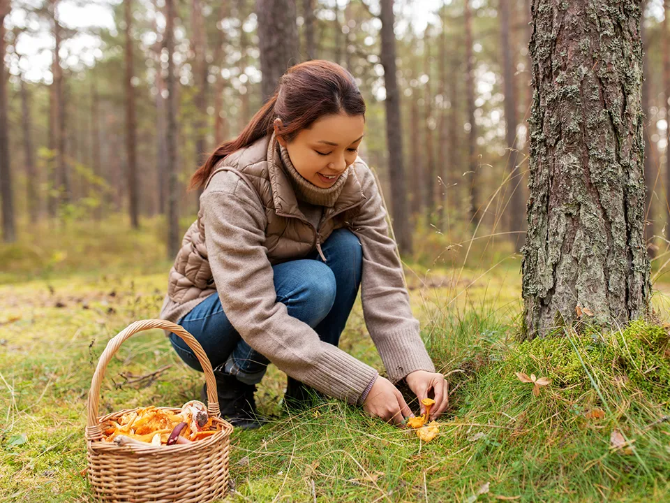 Фото: istockphoto.com