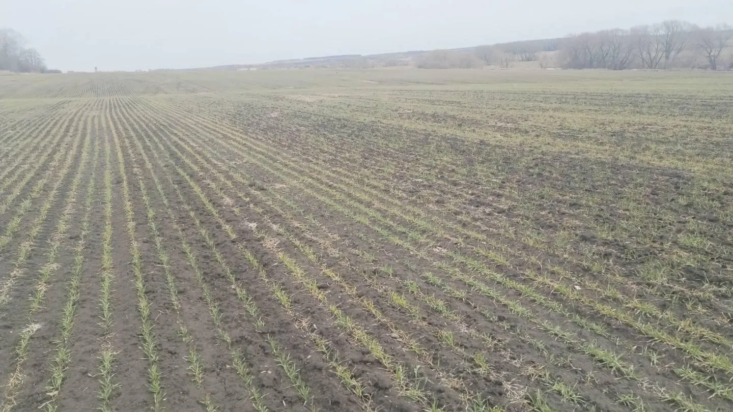 Фото: пресс-служба Минсельхозпрод МО