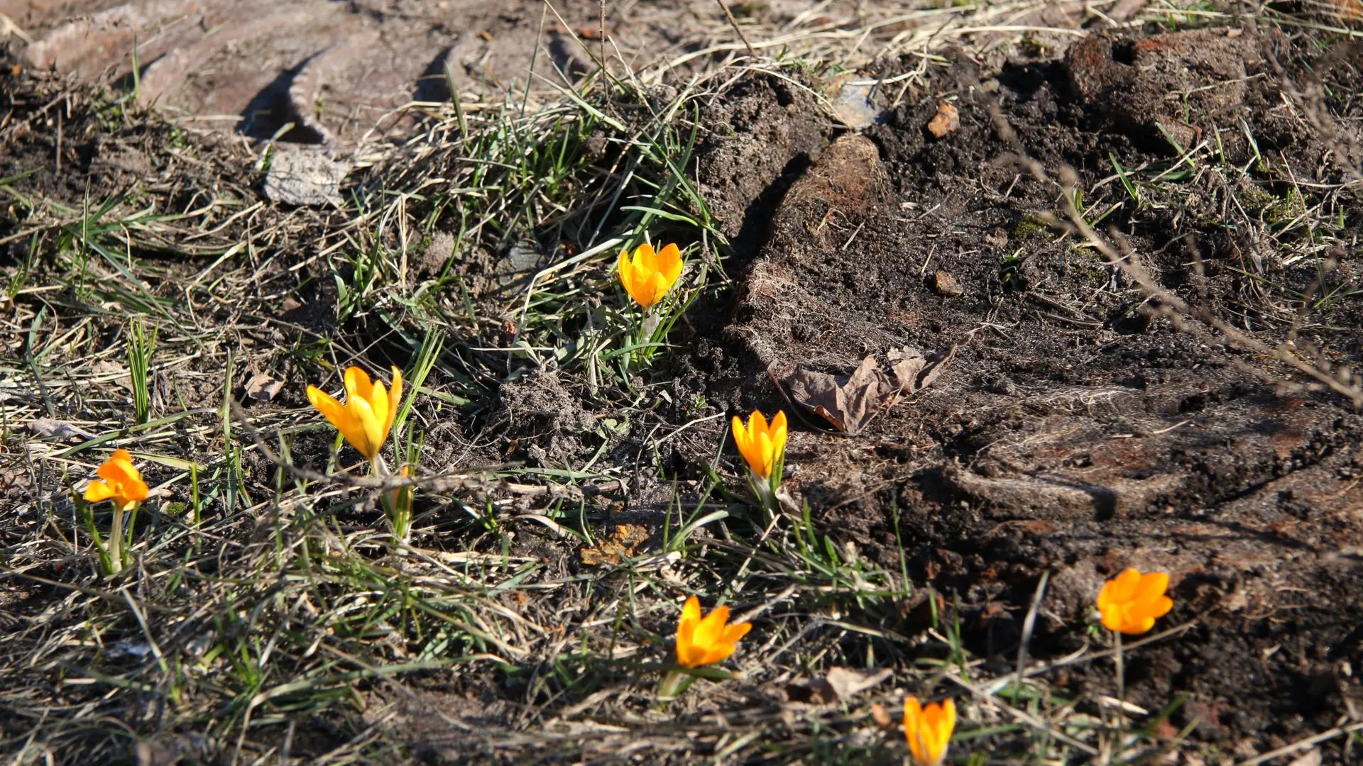 медиасток.рф