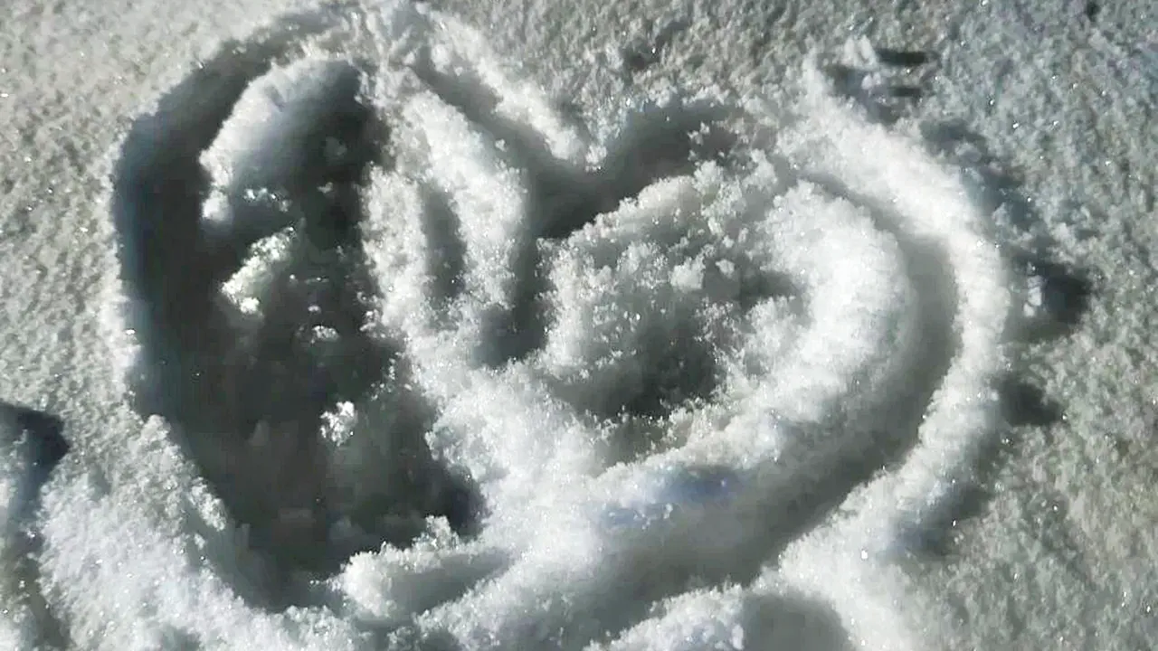 REGIONS/Алексей Селиверстов