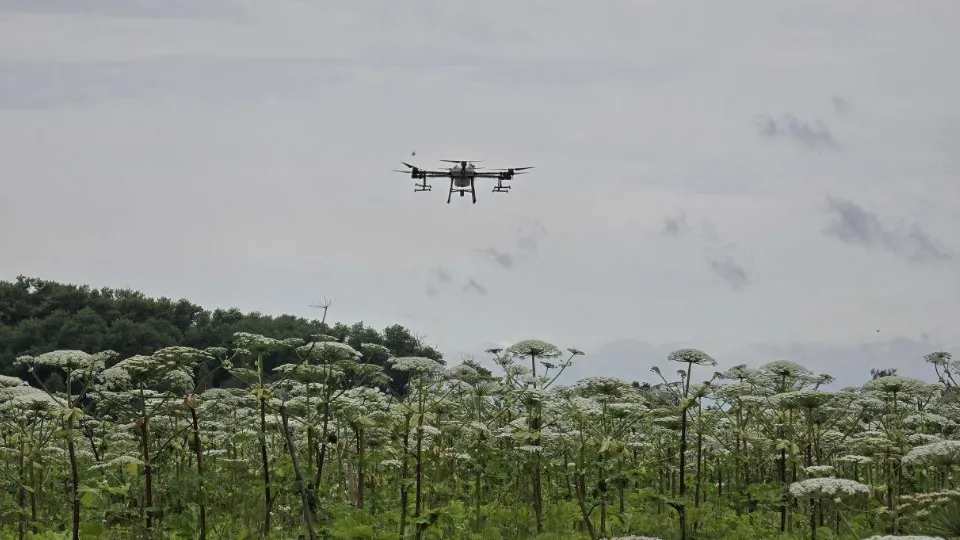 Фото: Яна Шаливская