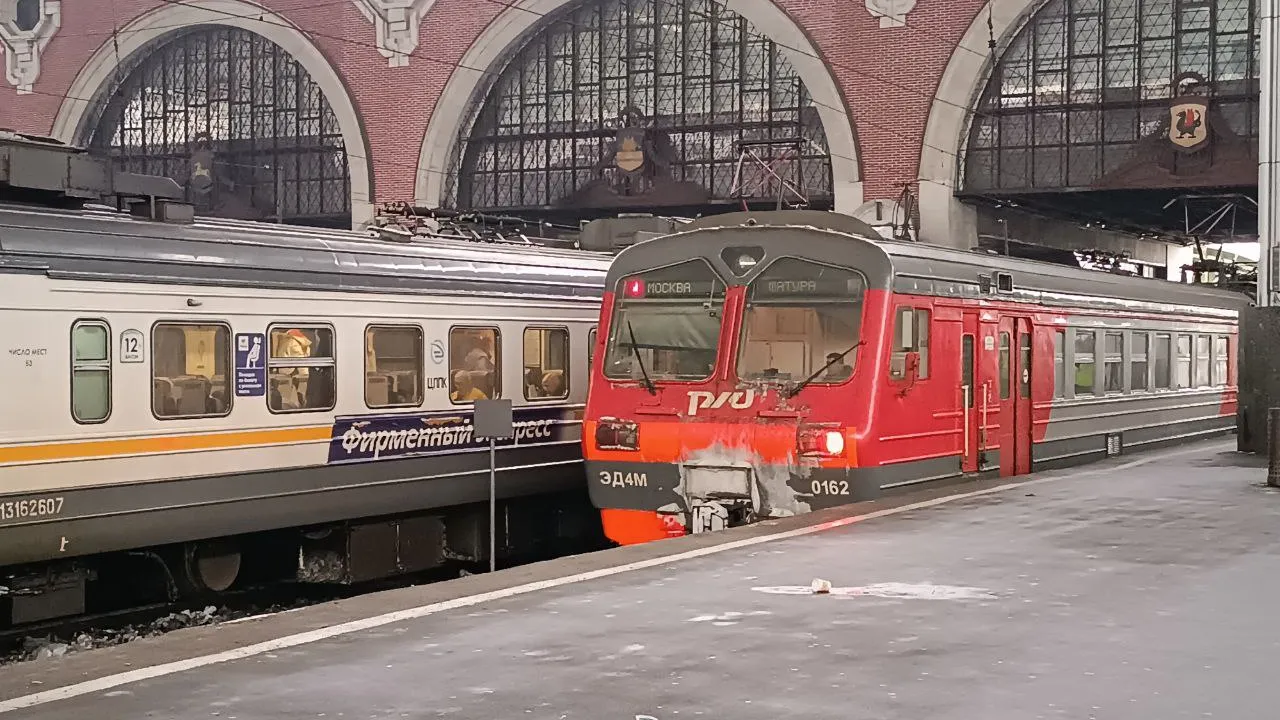 Фото: Татьяна Синельникова