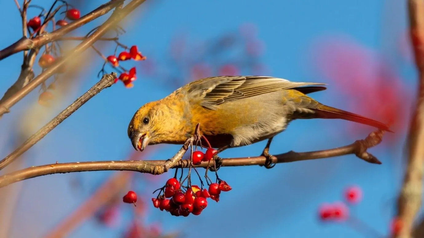 Источник: Freepik