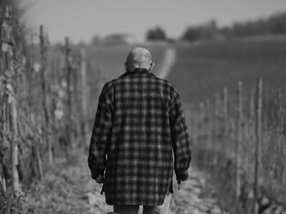 «Со взрывчаткой под курткой»: боец СВО рассказал, как украинцы решили проучить россиян