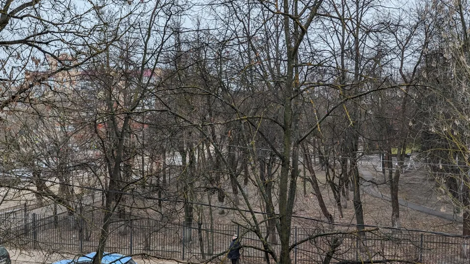 Фото: REGIONS/Алексей Селиверстов