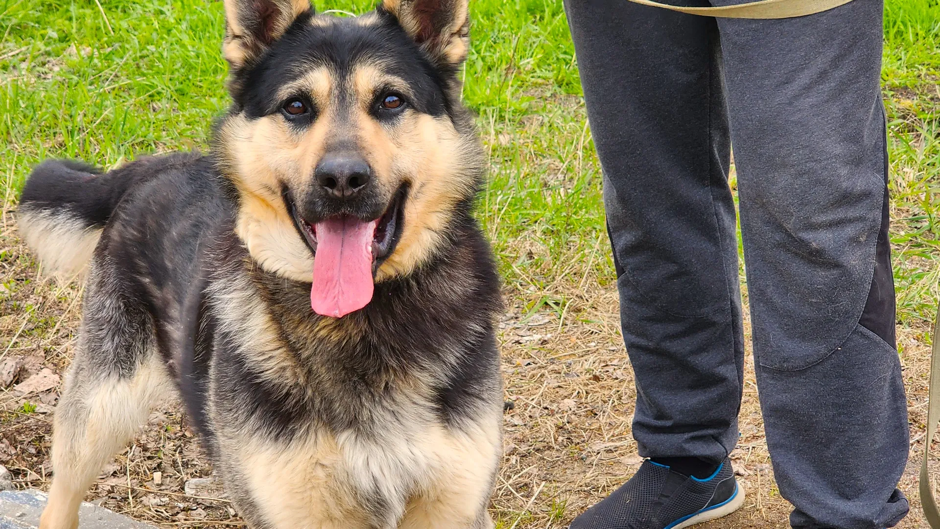 Фото: Медиабанк Подмосковья/Валентина Максимова