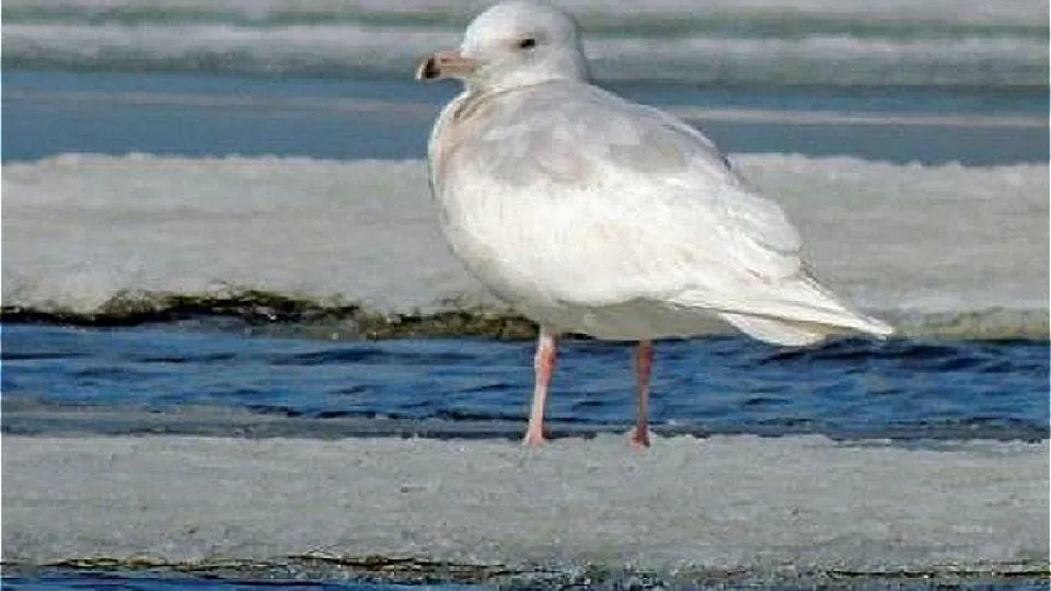 Фото: А.Г. Устинова