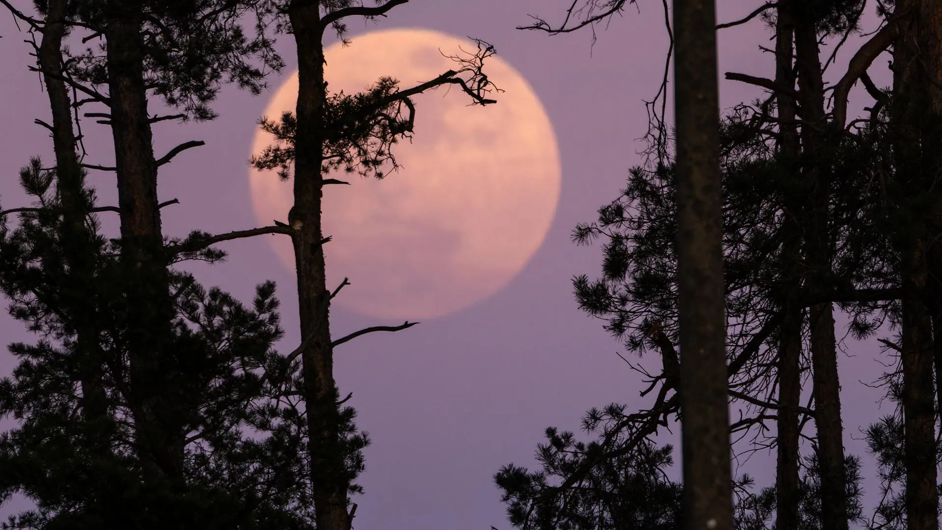 Frank Hammerschmidt/dpa