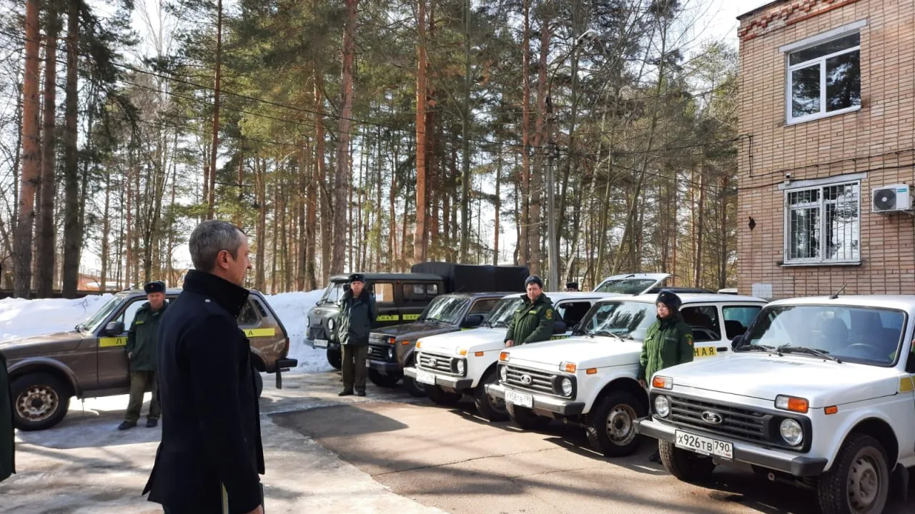 Фото: Комитет лесного хозяйства Московской области