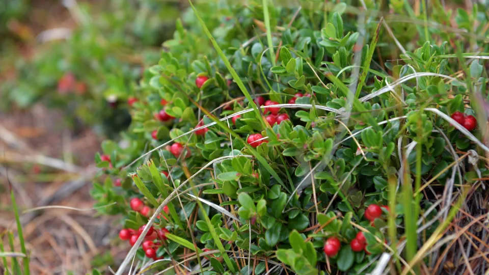 Фото: РИА Новости/Алексей Дружинин