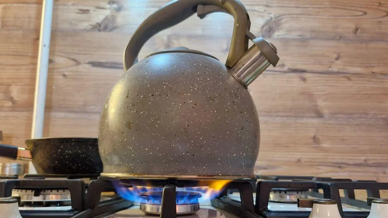 REGIONS/Наталья Надточая