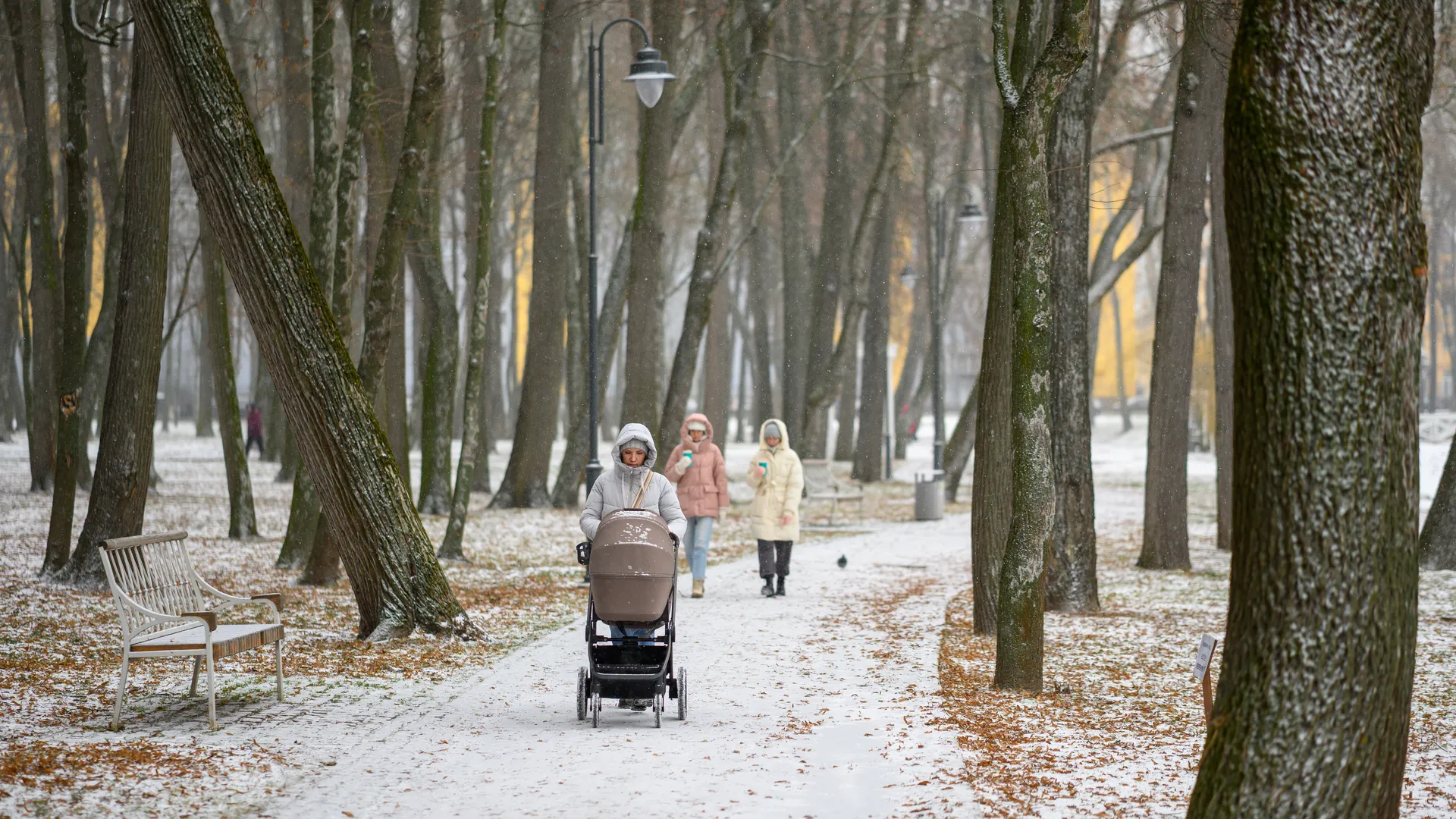 Прогулка в парке усадьбы Кривякино в Воскресенске