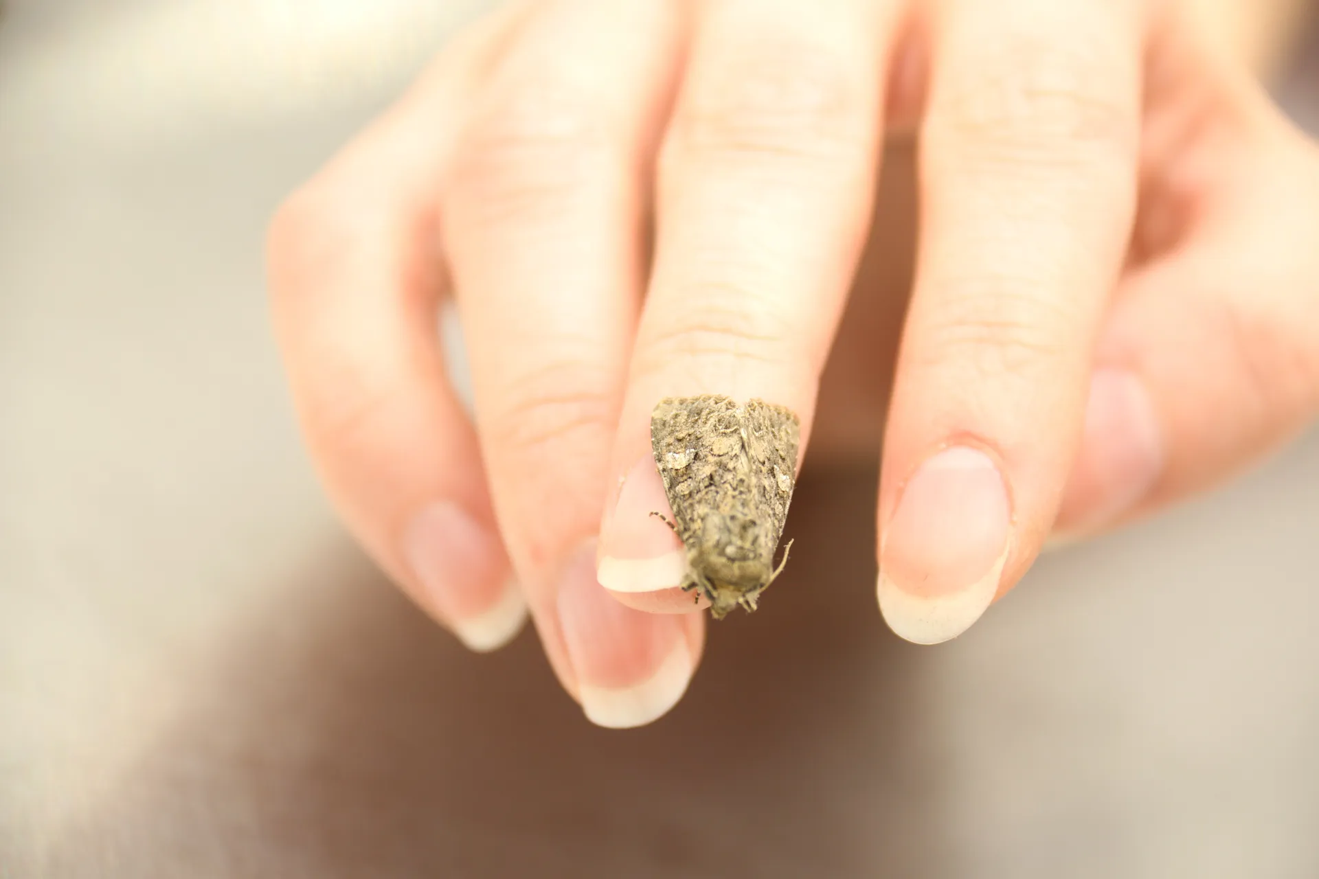 Фото: Альгирдас Руйбис/пресс-служба компании «Август»