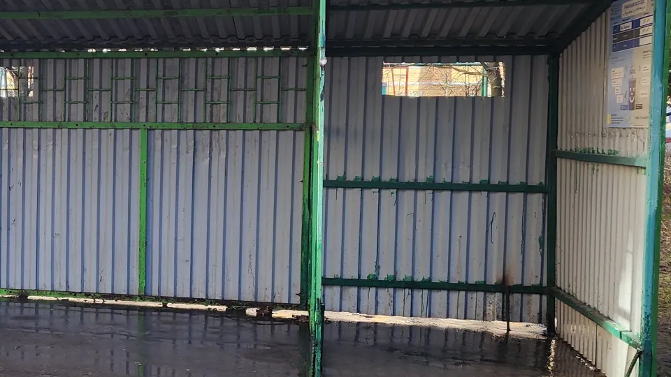 Фото: МедиаБанк Подмосковья/Валерия Тингаева