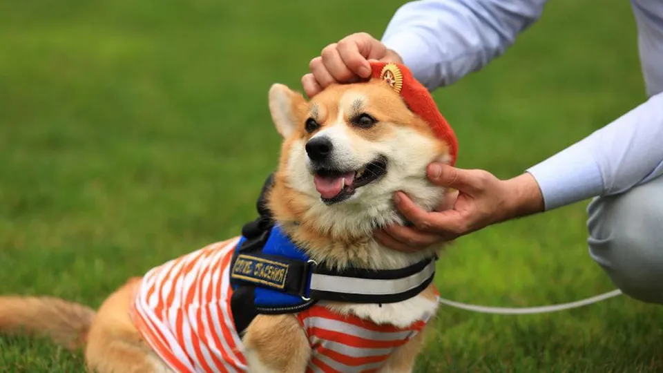 Фото: личный архив Леонида Киселева