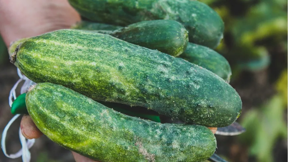 Фото: unsplash.com