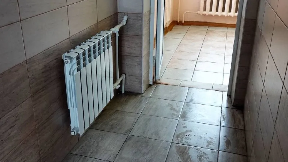 Фото: МедиаБанк Подмосковья/Дарья Леонова