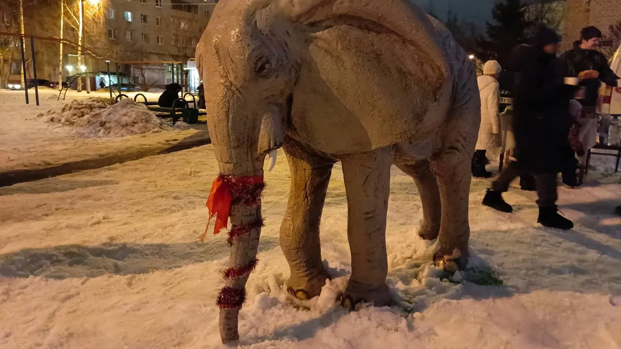 Фото: пресс-служба администрации г.о. Лобня