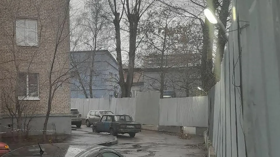 Фото: пресс-служба администрации г.о.Котельники