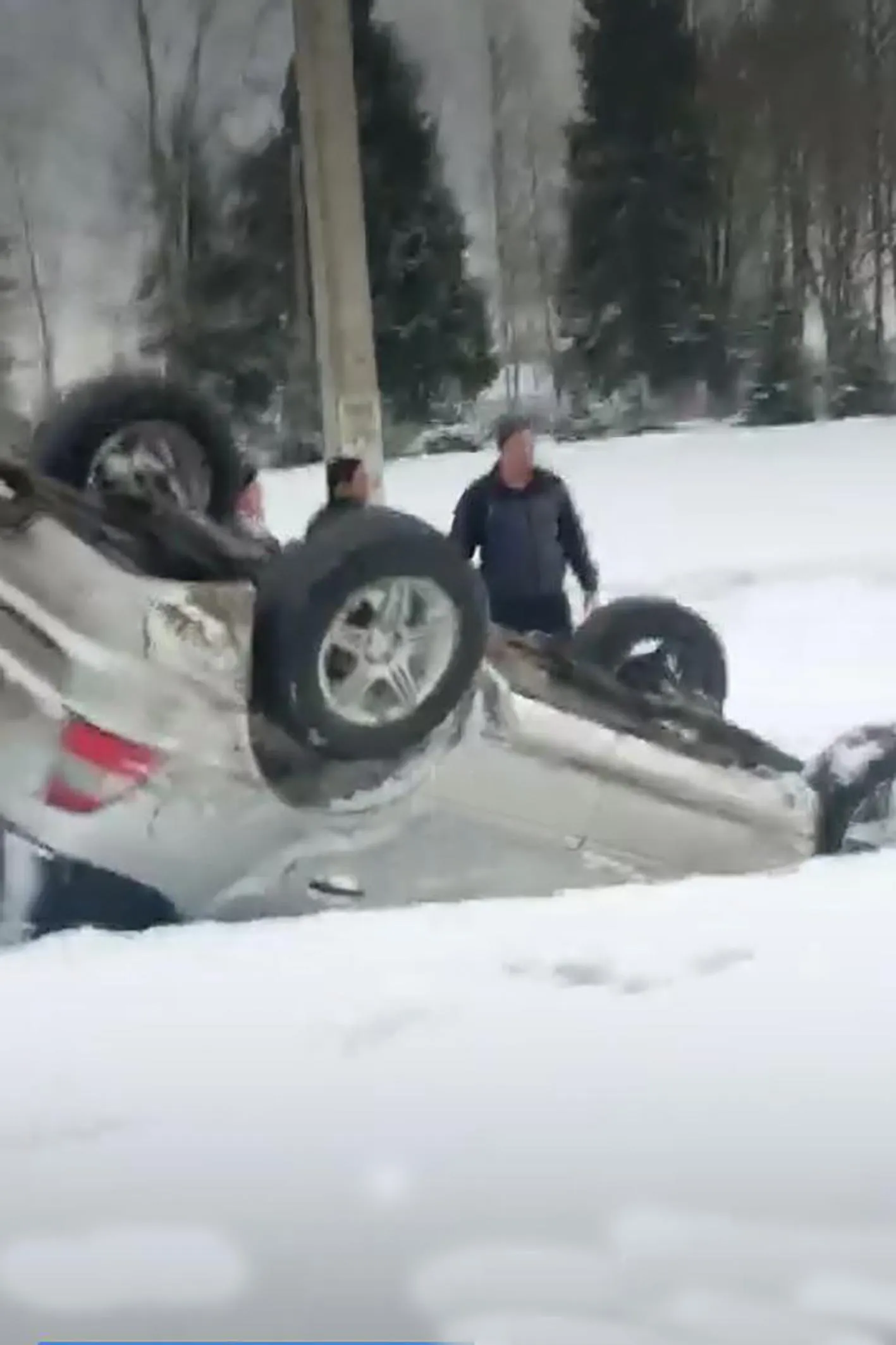 Фото стоп-кадр с видео https://vk.com/chp.dmitrov
