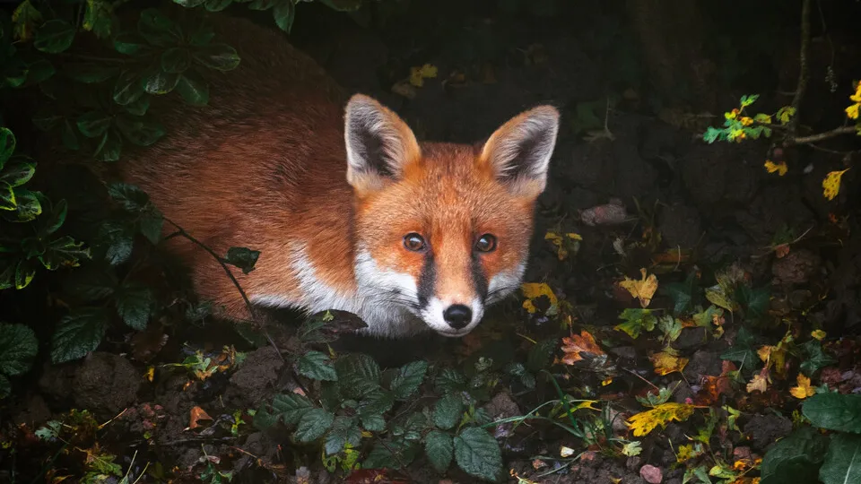 Фото: freepik.com