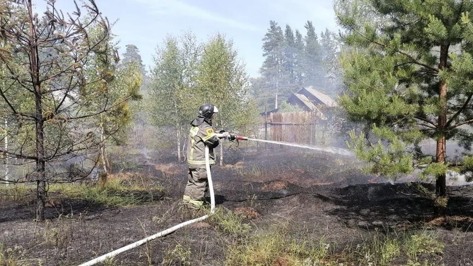 Фото: ГКУ МО «Мособлпожспас»