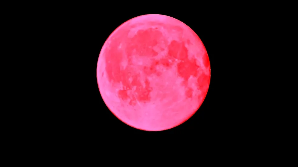 Фото: REGIONS/Алексей Селиверстов