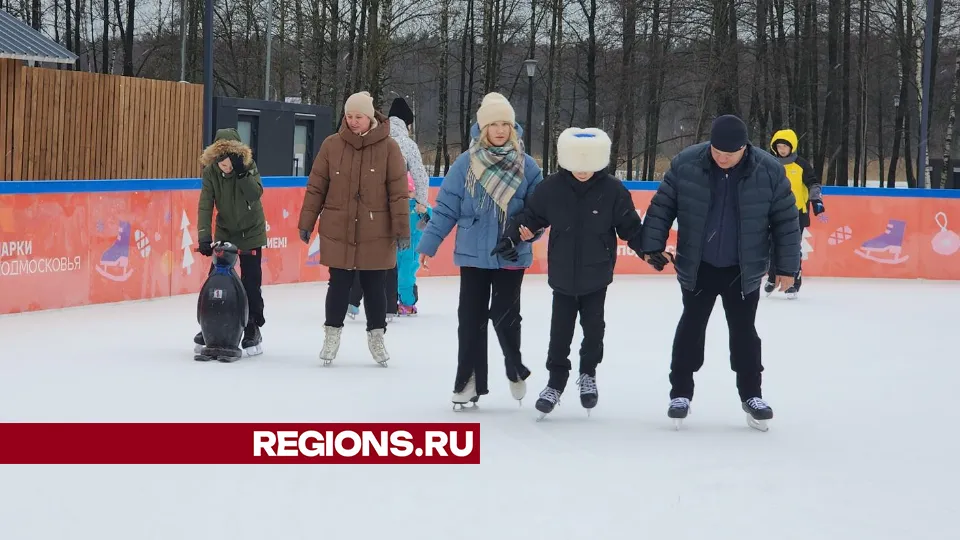 Фото: Юлия Андросова