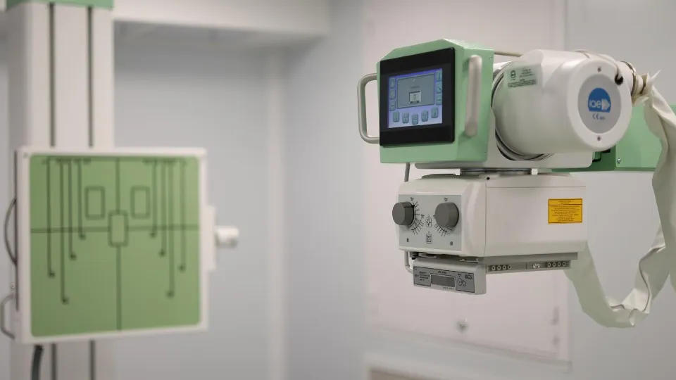 Фото: REGIONS/Ольга Аввакумова