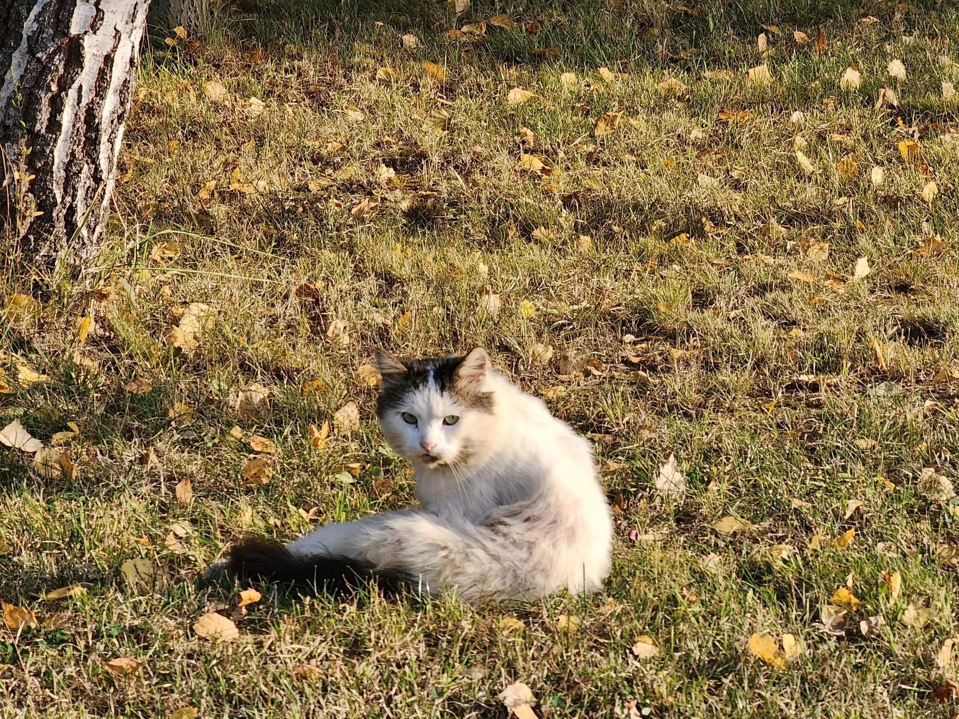 Фото: Роман Савельев