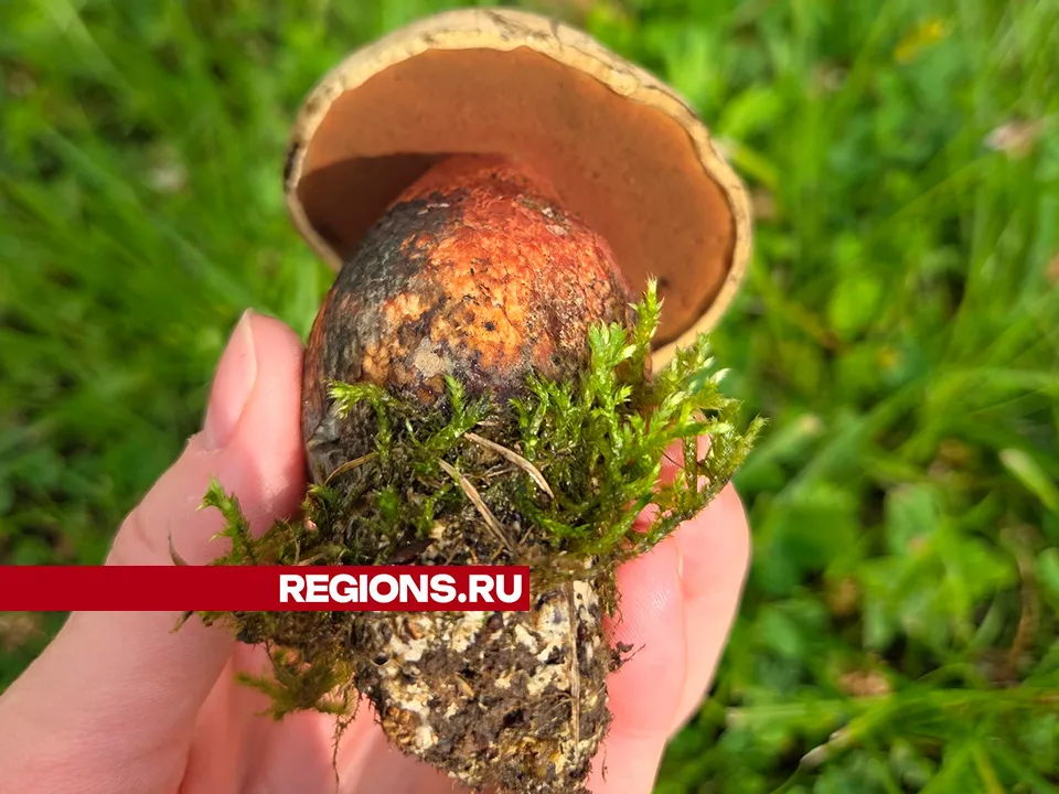 Фото: Емилия Деркач